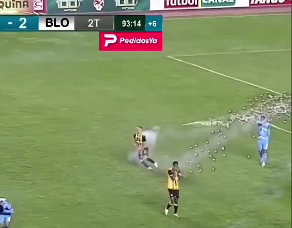 Soccer player collapsing after being hit by a firework.