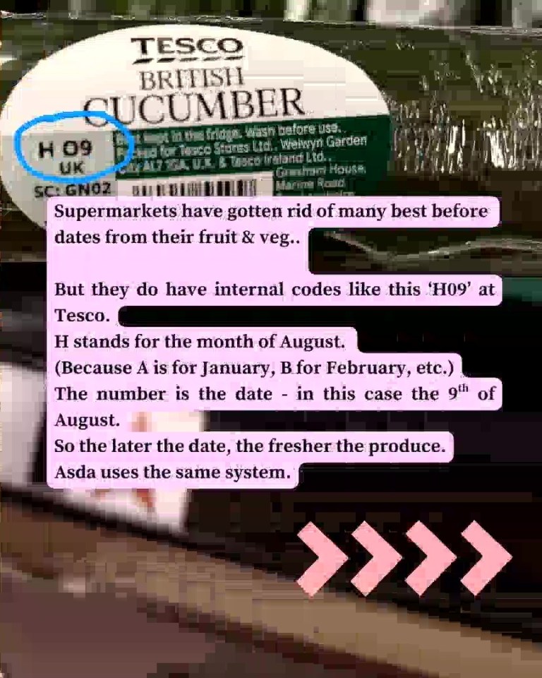 Tesco cucumber sticker with code H09 explained; H represents August, 09 represents the 9th.