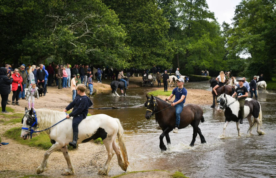 People watching horses and riders cross a shallow stream.