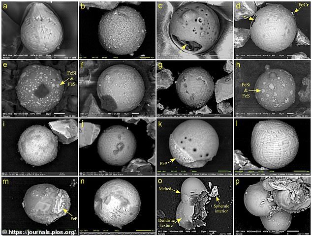 Scientists have found evidence of a comet crashing through Earth's atmosphere 12,800 years ago. This aligns with the controversial Younger Dryas Impact Hypothesis. Pictured are microspherules that have extraterrestrial properties