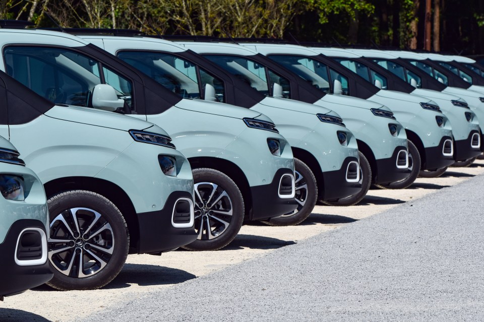 Row of light green Citroen Berlingo minivans parked in a lot.