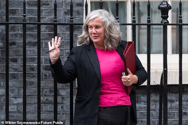 Labour transport secretary Heidi Alexander said: ‘With discounts on 17 car models announced this week alone, we’re delivering on our promise to make it easier and cheaper for families to go electric’