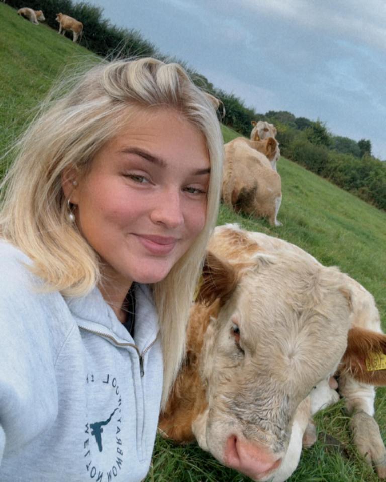 A woman and a calf in a field with other cattle in the background.