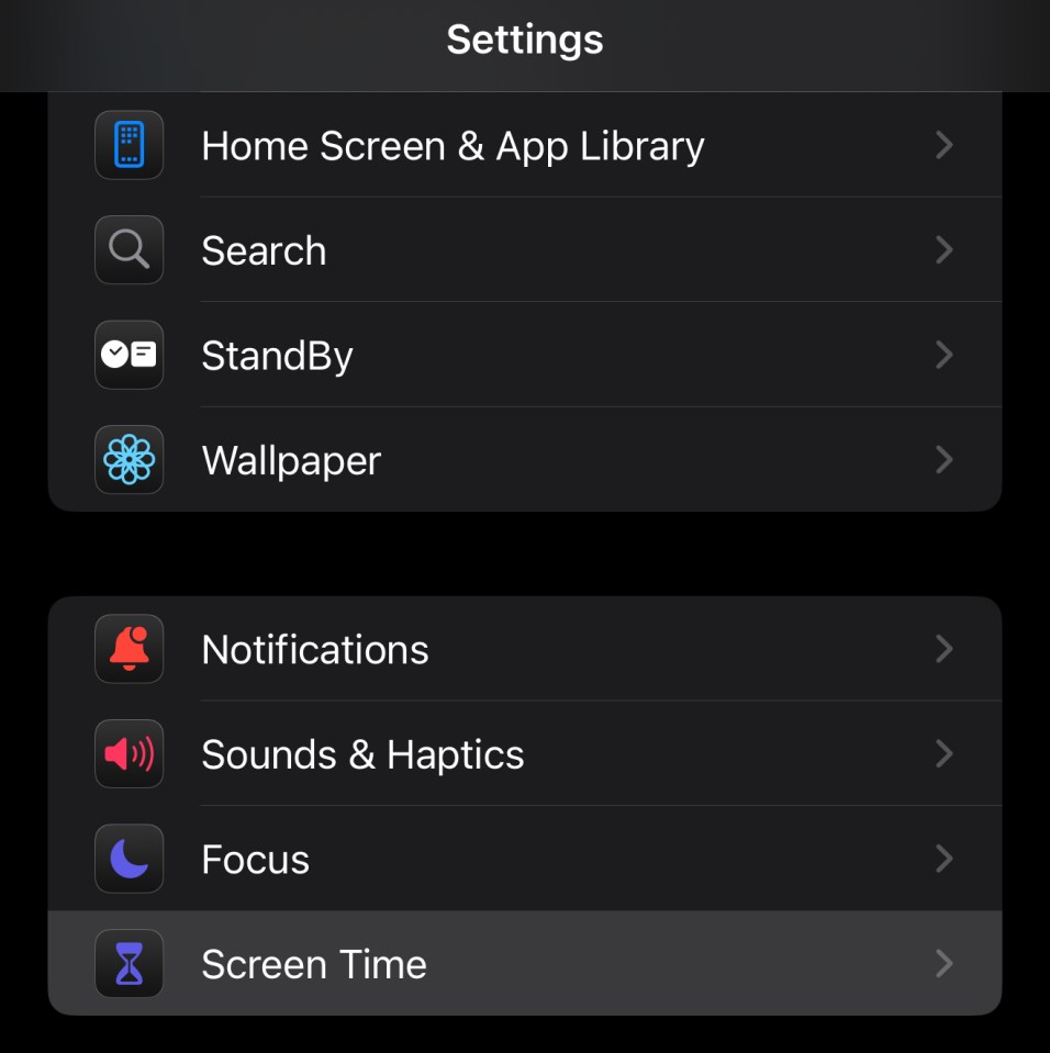 iPhone settings menu showing options for Home Screen, Search, StandBy, Wallpaper, Notifications, Sounds & Haptics, Focus, and Screen Time.