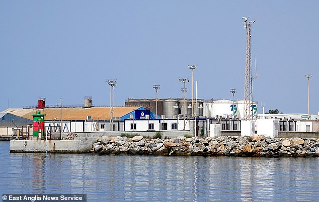 The CATE facility (pictured) replaced an older one which had rows of tents to accommodate seized migrants when many more were crossing the Mediterranean and arriving in southern Spain