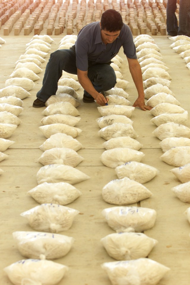 Colombian police officer inspecting bags of confiscated cocaine.