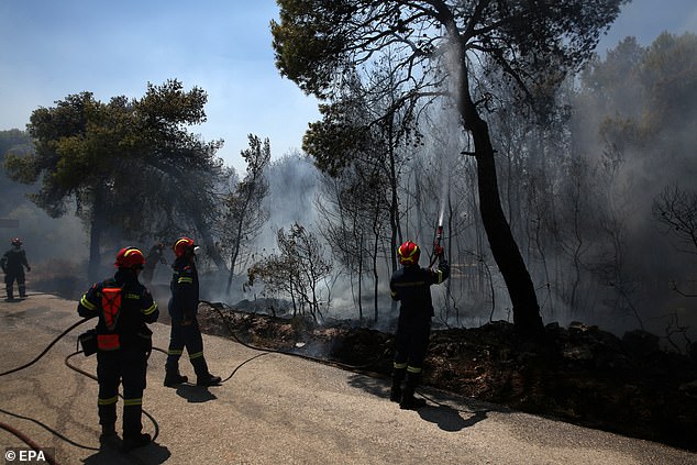 Firefighters and police evacuated dozens of people late Friday from homes and an elderly care centre as the flames neared the coastal resort of Palaia Fokaia