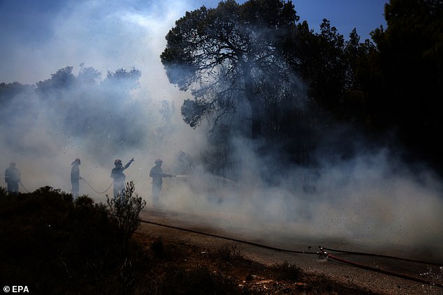 Firefighters in action amid a wildfire that broke out in the area of Kerate