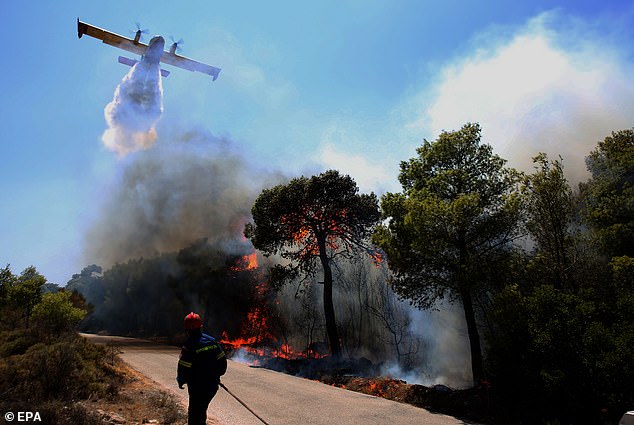 Major and destructive wildfires that began on 08 August in Keratea, Attica, and Helidoni, Ilia, near Ancient Olympia, had largely subsided by 09 August, after firefighting forces battled through the night to contain the flames