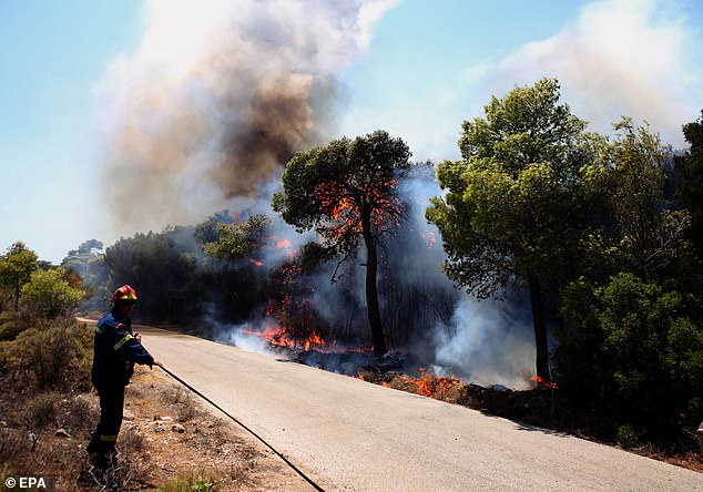 Firefighters with hoses combed through a copse of trees to douse any embers and prevent reactivations, scorched twigs and debris crunching under their boots