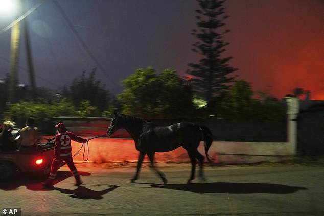 A volunteer rescues a horse as a wildfire is approaching residential areas in Thymari, south of Athens, Greece, Friday, August 8