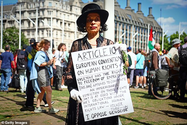 A protestor held a placard in support of Palestine in Parliament Square