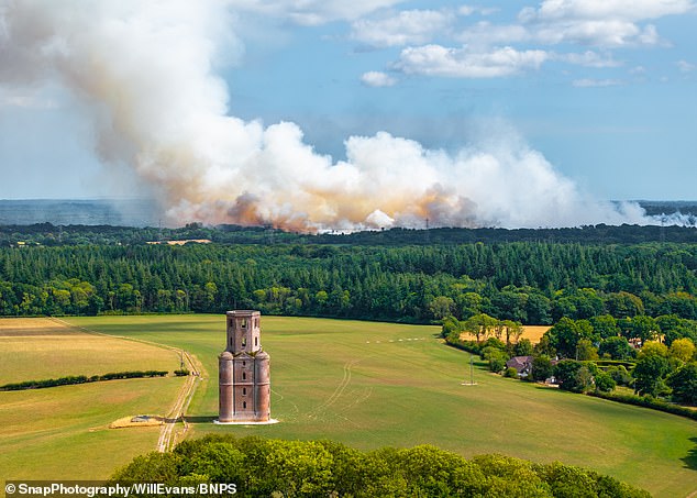 Dorset & Wiltshire Fire and Rescue are fighting to control the blaze which broke out near Wimbourne just after 11am this morning