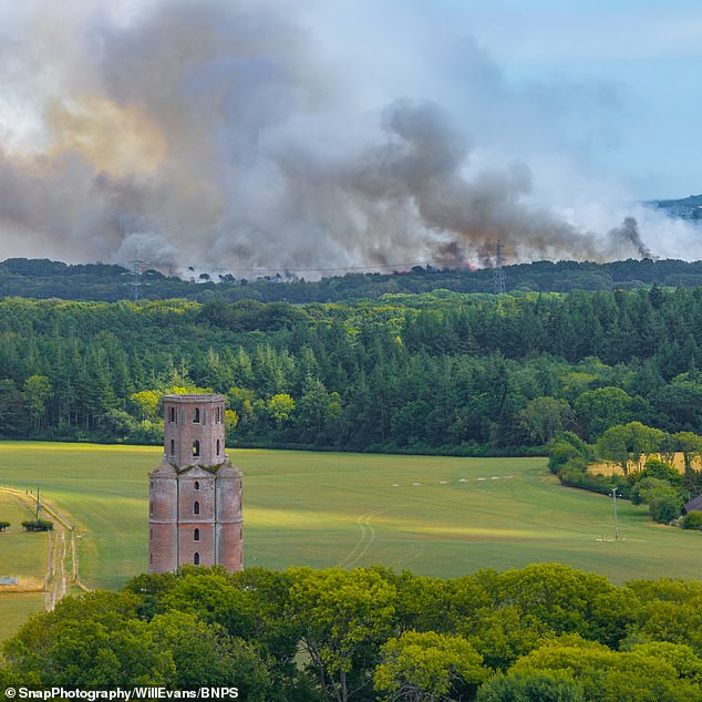 Residents compared the scene to a 'horror movie' and dog walkers quickly fled the scene as people miles away spotted billowing smoke from the Heath