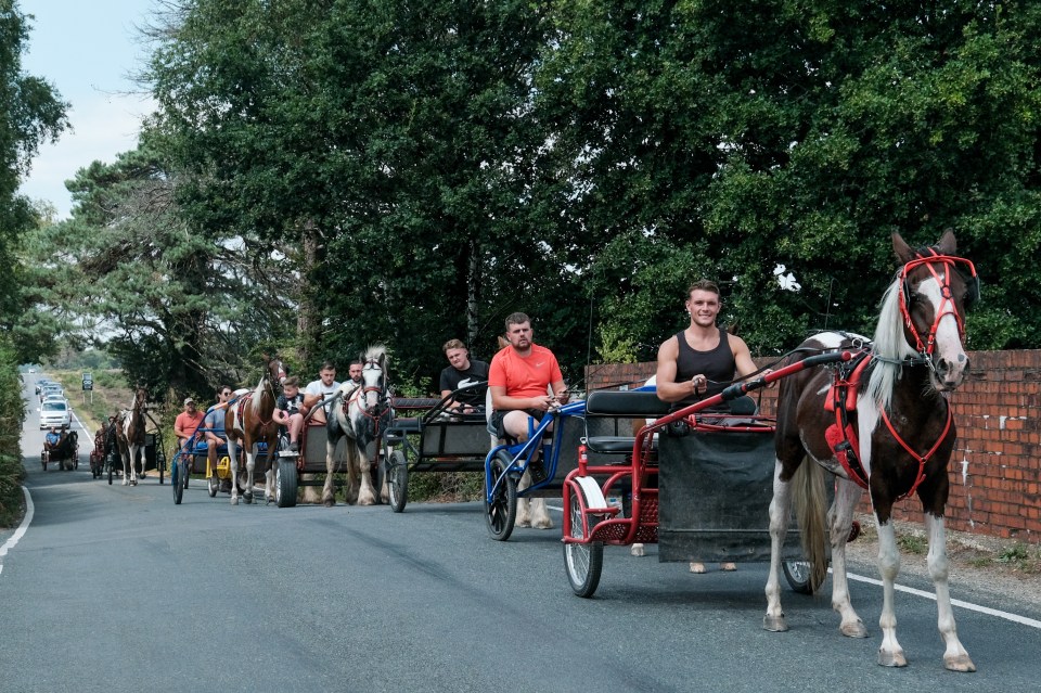 A line of horse-drawn carriages on a road.