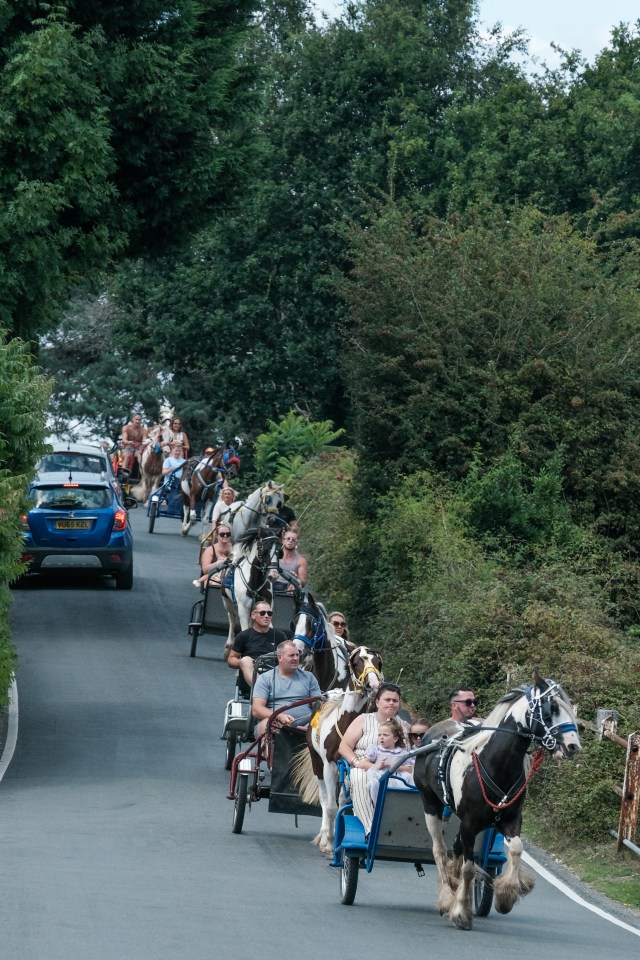 A procession of horse-drawn carts on a road lined with trees.