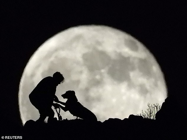 A dog walker had a scenic backdrop for their evening stroll in Gran Canaria, Spain