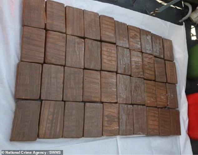 Six large containers containing around 230kg of 'high-purity cocaine' in brown blocks (pictured) were later recovered from the ocean