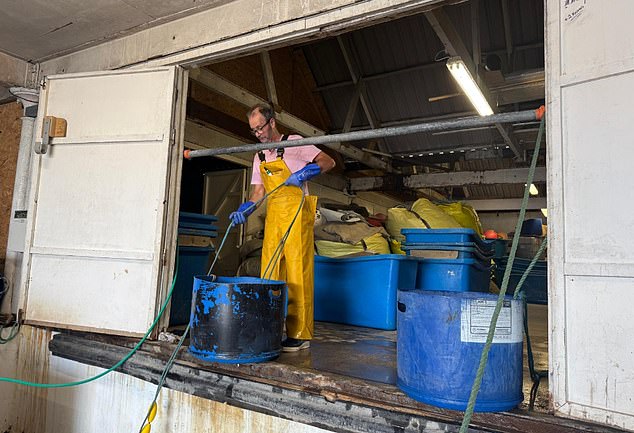 Barry Chivers, 68, (pictured) has been a fisherman in Newlyn for more than half a century, since he was just 15 years old. He said Cornish men spent 'too much' time drinking and taking drugs to be relied upon as fishermen