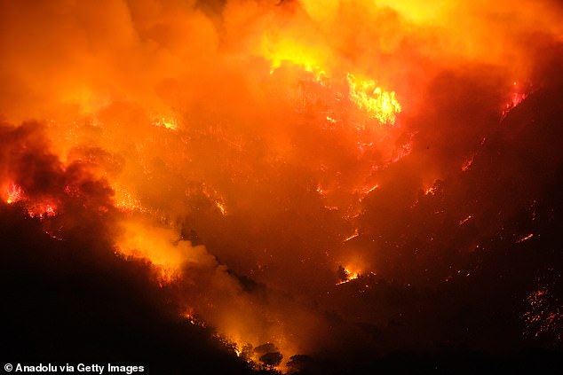 Flames and smoke rise from a wildfire that breaks out at the Vesuvius National Park in Terzigno, a commune in Naples, Italy on August 8, 2025