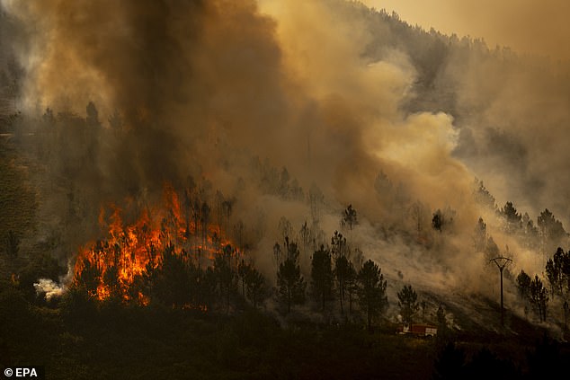 Smoke rises from a fire that broke out late the previous day in the surroundings of Maceda in Galicia, northwestern Spain, 10 August 2025