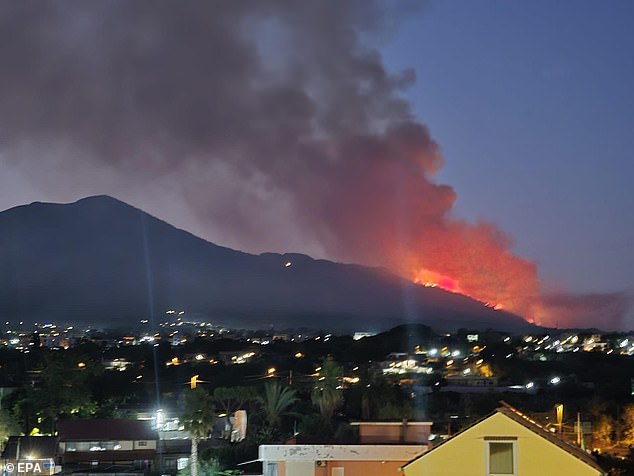 A large fire rages in a green area on the slopes of Mount Vesuvius near Naples, Italy, 8 August 2025