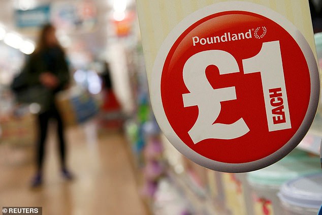 The discount shop chain's owner, Polish firm Pepco Group, sold the struggling business in June to US-based Gordon Brothers for a 'nominal fee' of just £1. Pictured: File photo