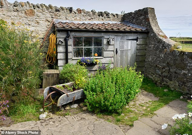 Other ruses we have uncovered include describing sheds and spare rooms as annexes that attract separate council tax