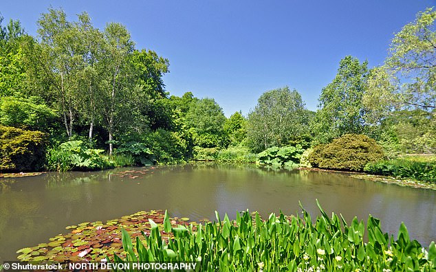Members¿ misgivings included accounts of children being licked by dogs and wildlife such as dormice being killed. An outraged member said: ¿I am not against people having dogs but... we have a lot of vulnerable people and children who come here.' Pictured: RHS Rosemoor