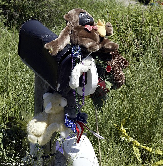 The scene of the Groene family murders and Shasta's abduction near Wolf Lodge, Idaho, is pictured the day after she was spotted and rescued at a Denny's