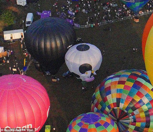 A cow balloon was also pictured amongst the colourful sky