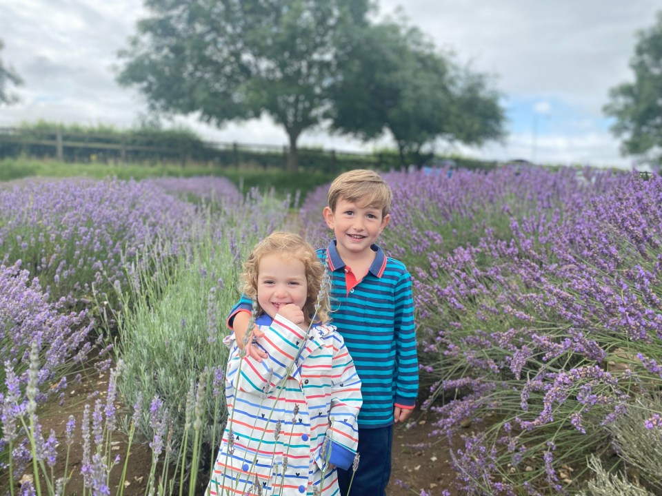 Two young children standing in a lavender field.