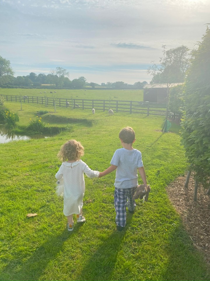 Two young children holding hands and walking away from the camera, towards a field of sheep.