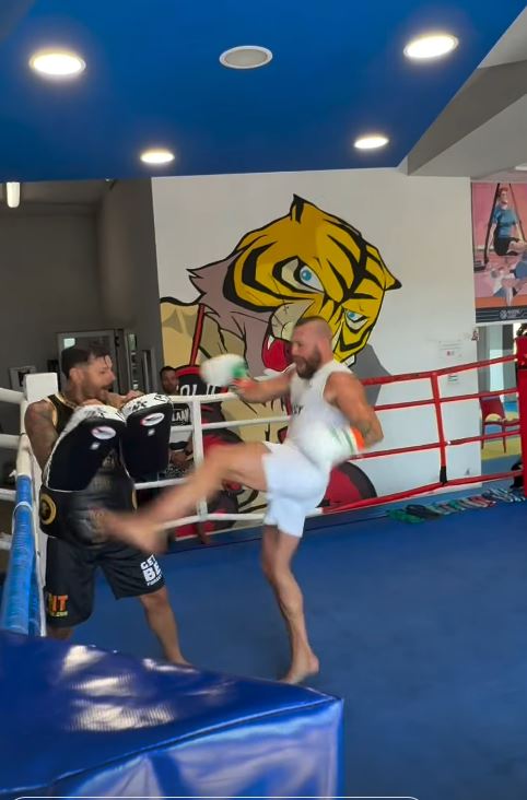 Conor McGregor training in a boxing ring.