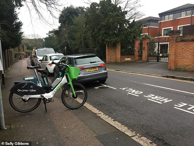 As things stand, the introduction of a rental bike parking bay on Gibbons's street has had little impact, with users continuing to leave cycles parked anywhere but in the designated spaces