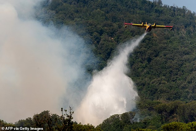 In Italy, tourist access to Mount Vesuvius has been halted as firefighters and military teams battle a significant wildfire on its slopes near Naples