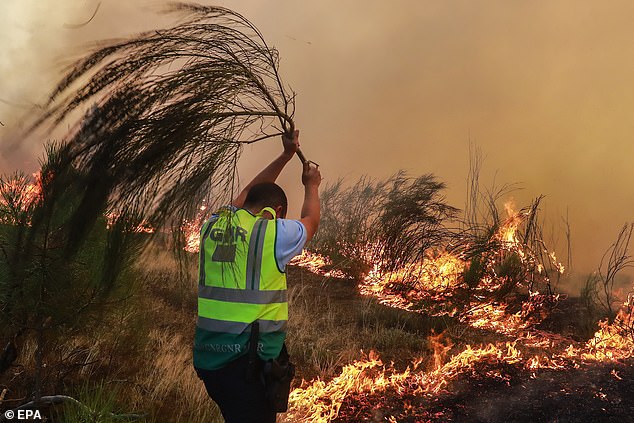 A blaze that began on August 2 in Sirarelhos was only declared contained on Wednesday, but reignited on Saturday night and now threatens Relva, Borbela, and Lordelo near Vila Real