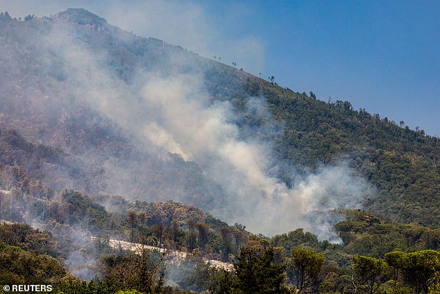 Drones have been utilised alongside reinforcements from other areas, as attempts continue to starve the fire across 500 hectares in Vesuvius National Park