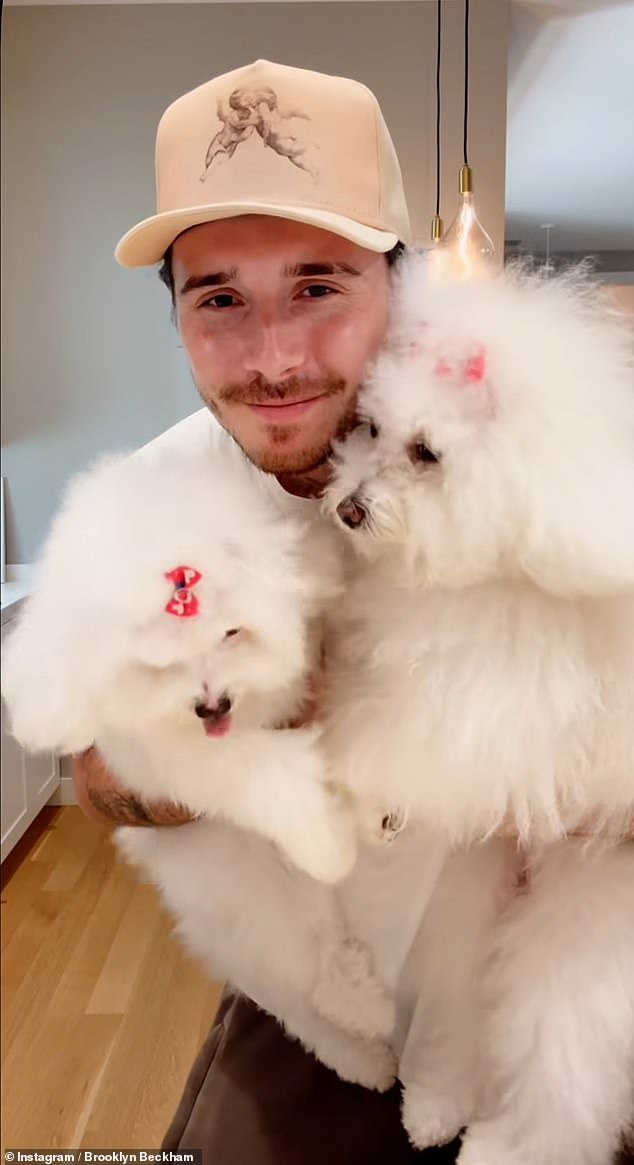 The ceremony was a far cry from their first glitzy bash, with the couple opting for a smaller, more personal event surrounded by their four dogs