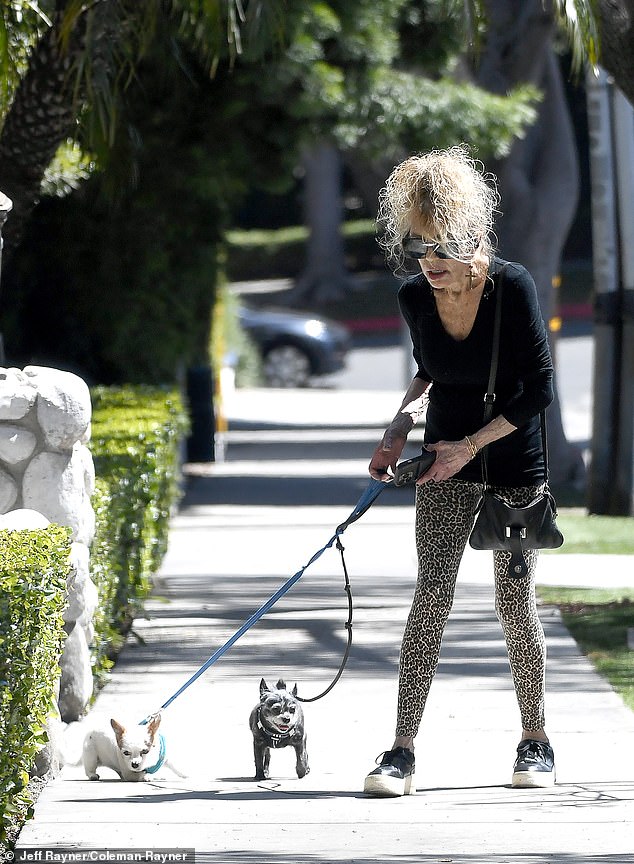 Exclusive Daily Mail photos show the Hollywood star ran into some trouble trying to wrangle her pups on the sidewalk after one showed a little resistance