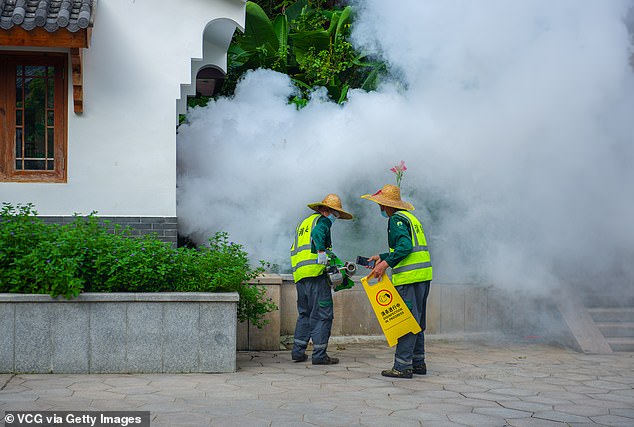 Officials say, however, that cases are falling. Above are workers spraying insecticide in Shenzhen, China, last week
