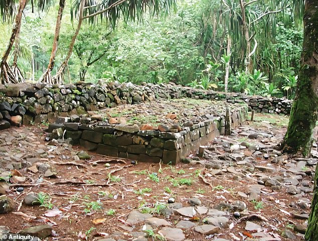 Pictured, ahu (a central stone platform) on Mo’orea, Windward, French Polynesia, southern Pacific Ocean