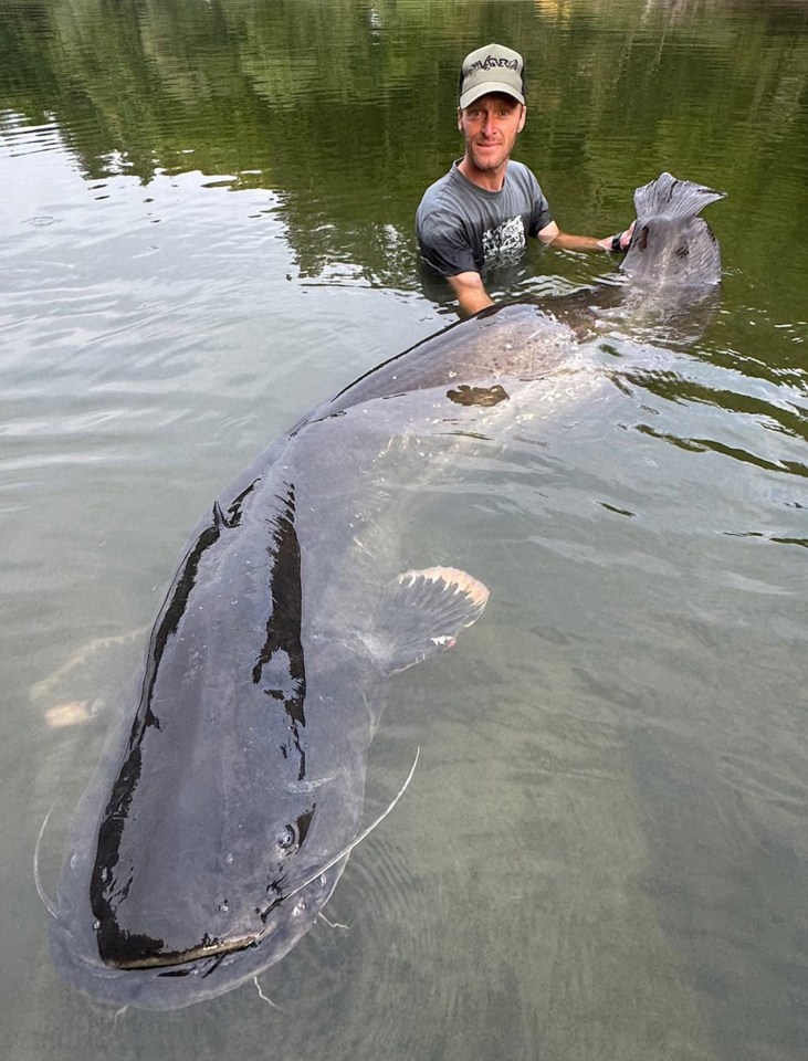 A man holding a 2.68-meter-long catfish in a reservoir.