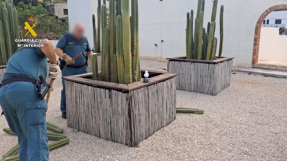Spanish police confiscating cacti from a spiritual retreat.