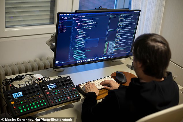 Young people have been encouraged by executives and even US presidents to pursue coding, claiming it would help them stand out and land high-paying positions (stock image)