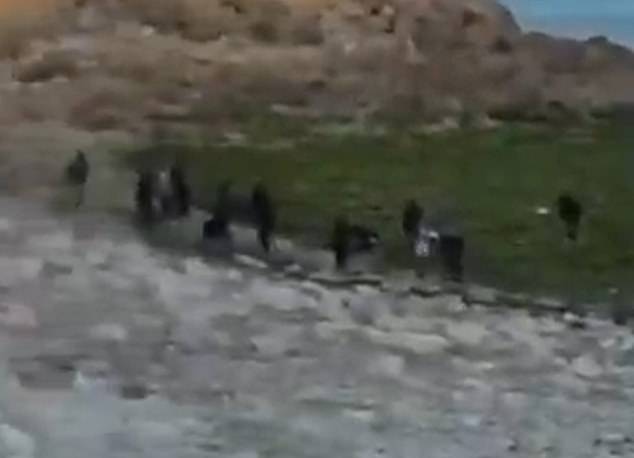 Tourists and locals alike watched in amazement as the dehydrated and hungry migrants stumbled ashore on idyllic Boca do Rio beach