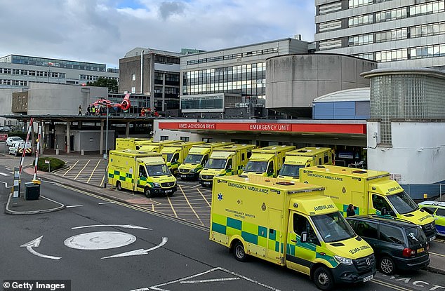 She unleashed the verbal attack when staff at the University Hospital of Wales in Cardiff, pictured in a stock image, were unable to help her sister who was having a seizure on the floor