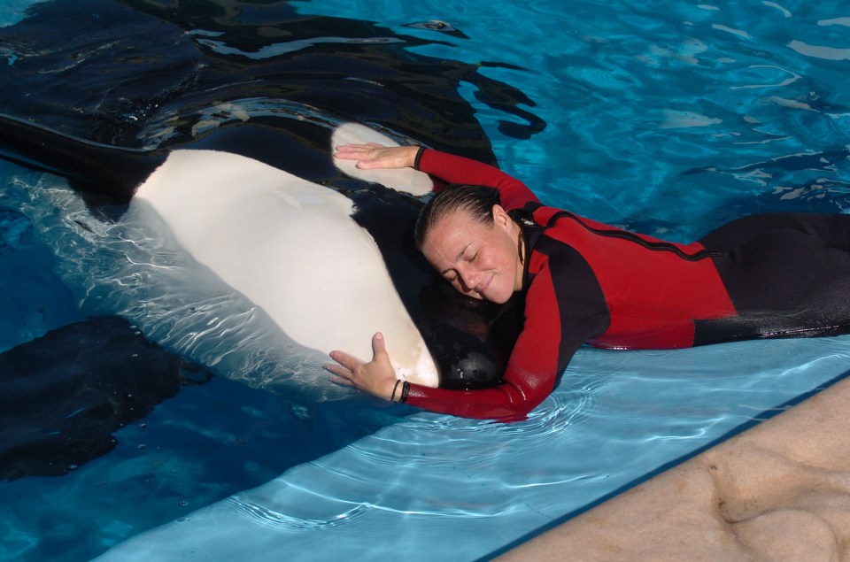 Dawn Brancheau loved her job and always wanted to be work at SeaWorld