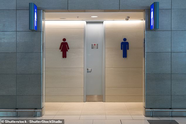 Ms Phillipson was also unable to say when the long-awaited transgender guidance for schools would be shared with teachers - more than a year after the election (stock image)