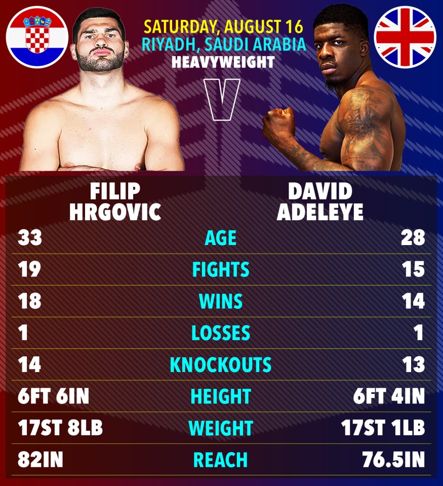 Illustration of Filip Hrgovic vs. David Adeleye boxing match statistics.